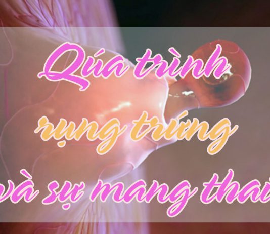 Cách tính ngày rụng trứng là việc nên làm trước khi quan hệ để có sự chuẩn bị kỹ lưỡng theo các kế hoạch
